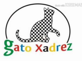 Undime assina ofício com o MEC com orientações às redes sobre a declaração do Atendimento Educacional Especializado no Censo Escolar