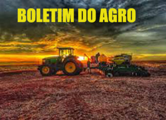 Embrapa Trigo lança cultivares na Agrobrasília