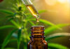 Os precedentes cíveis e penais do STJ sobre o uso medicinal da cannabis